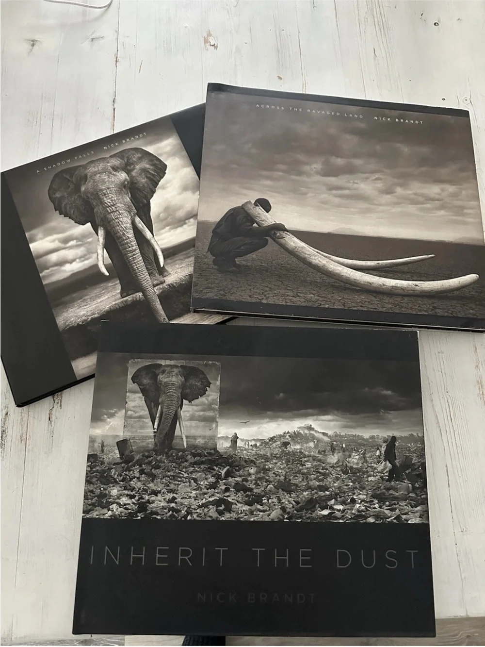 3 Nick Brandt Coffee Table Photo Book Set collection signed picture books